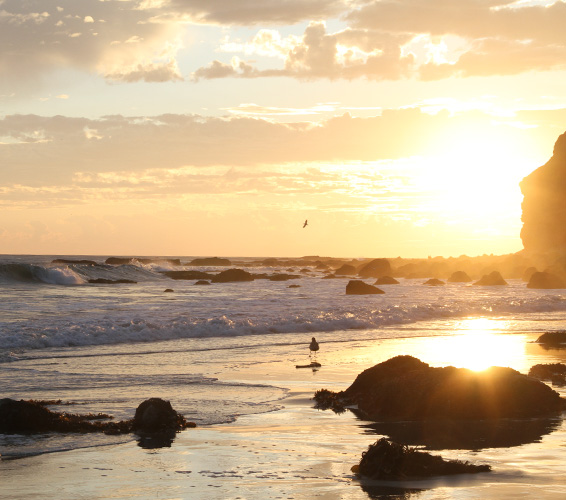 ci-dana-point-lantern-village-566x500_02