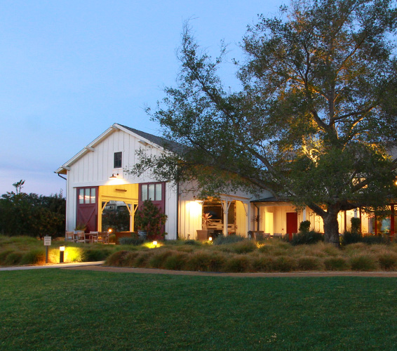 ci-rmv-esencia-566x500_04