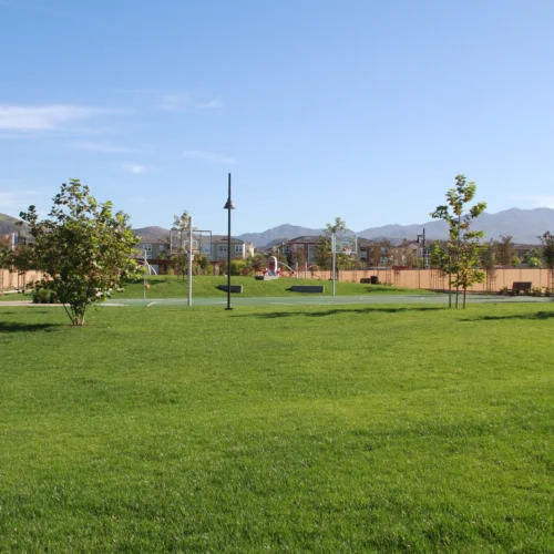 planned community park