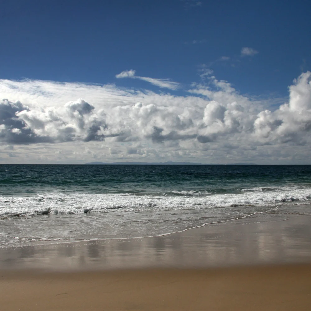 californian coastline beach and surf