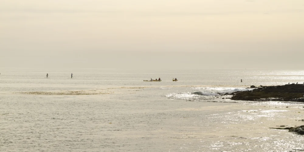 kayakers on California coastline