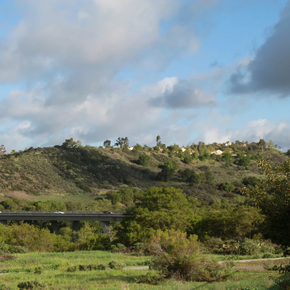residential neighborhood with open space and nautre in foreground