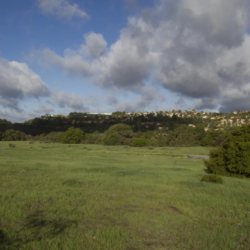 residential neighborhood with open space and nature in foreground