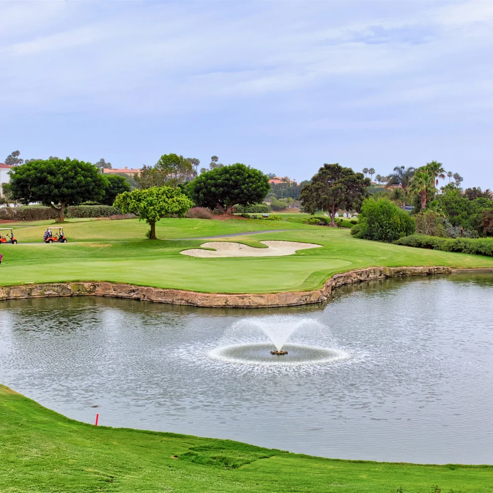 golf course and golf water hazard