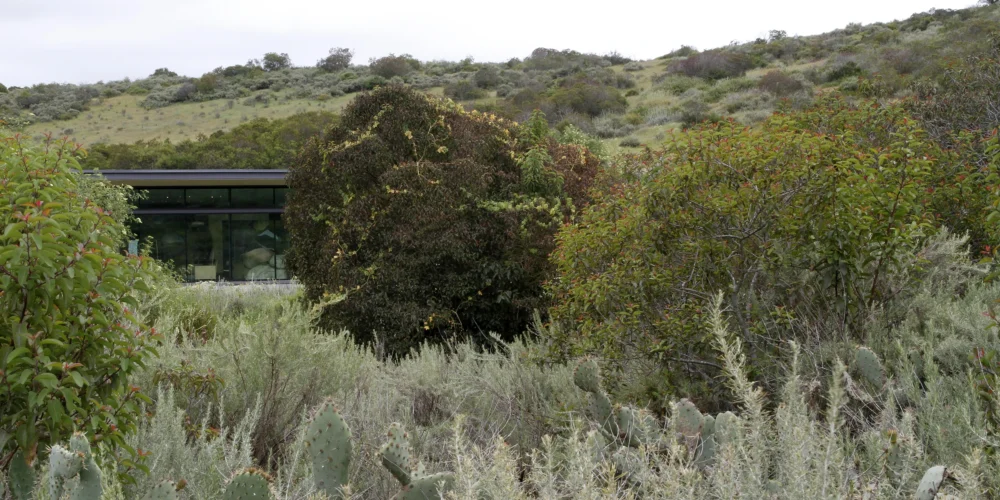community center set in pristine California coastal scrub landscape