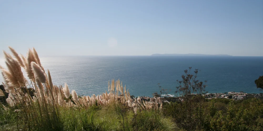 Pacific ocean from coastal Californian hilltops