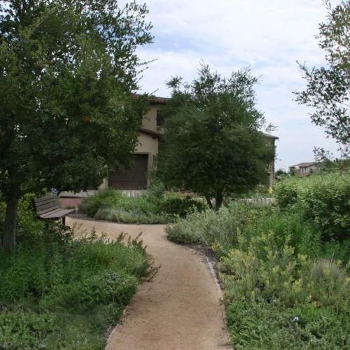neighborhood walking path
