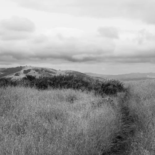 black and white southern californian landscape