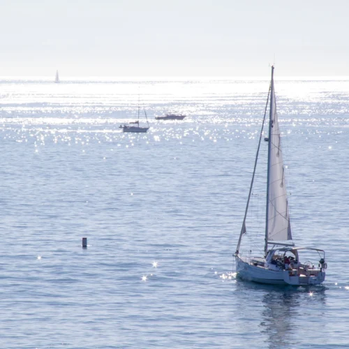 sailboat on calm blue Pacific ocean