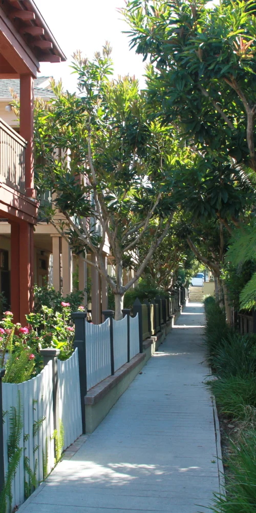 Neighborhood path