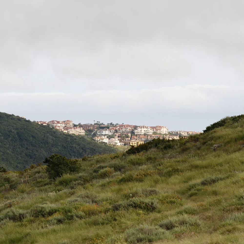 residential neighborhood in coastal-close Californian setting