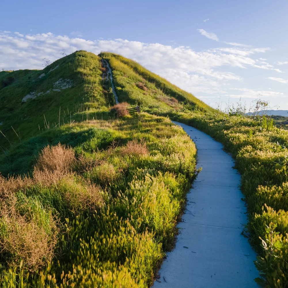 concrete path on grass-covered ridgeline in southern california