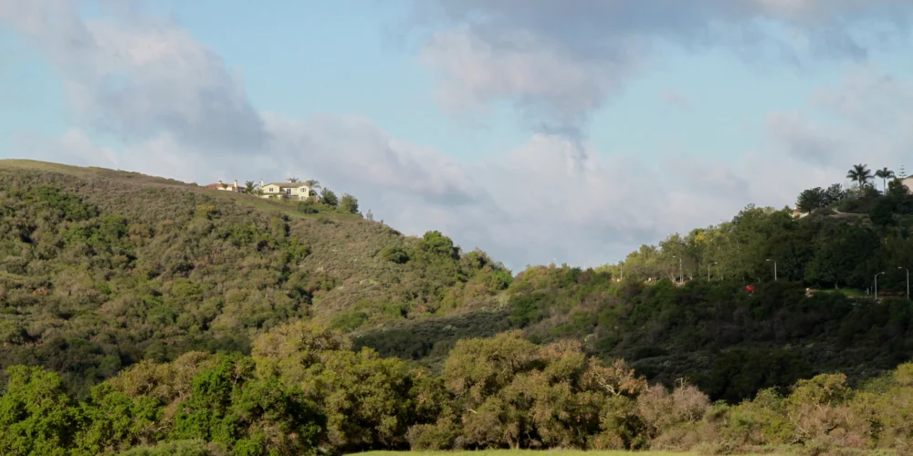 southern californian landscape with residential housing