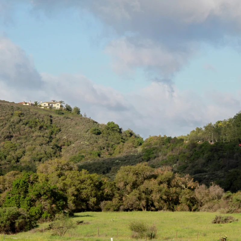 southern californian landscape with residential housing