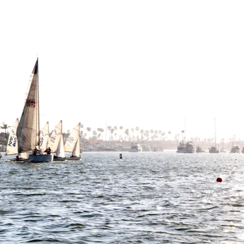 sunset harbor scene with sailboats southern california