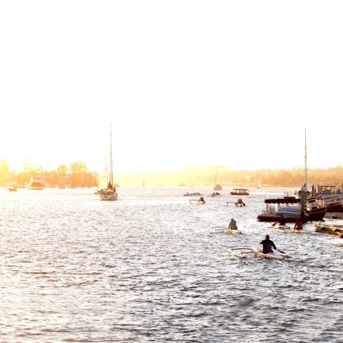 sunset harbor scene with crew rowboats southern california