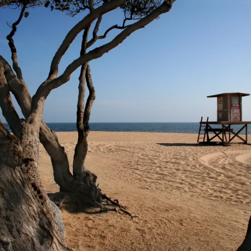 beach and lifeguard stand newport beach california