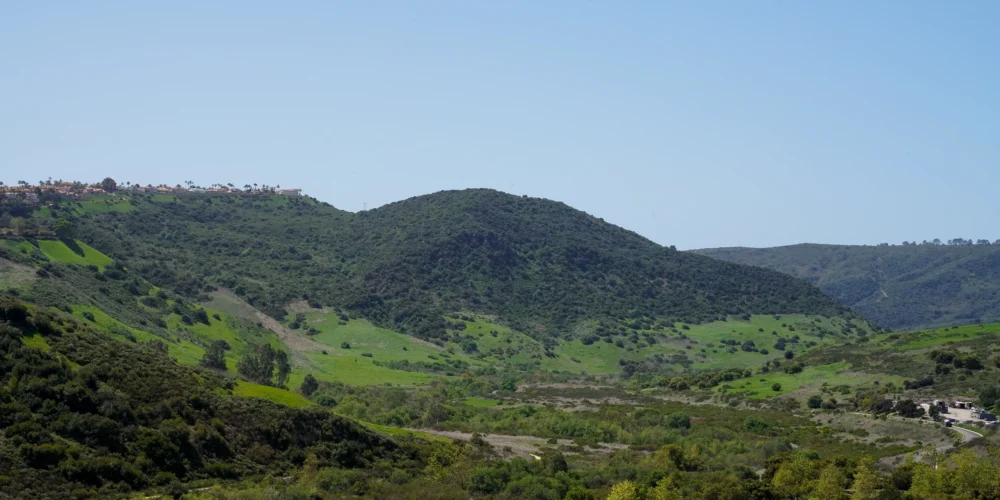 open space and residential community