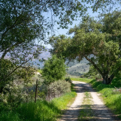 southern californian hiking trail