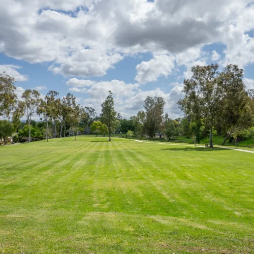 wide lawn at park