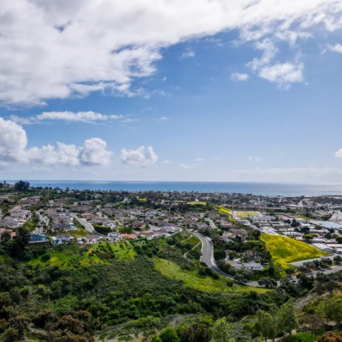 aerial photo of southern californian coastal community