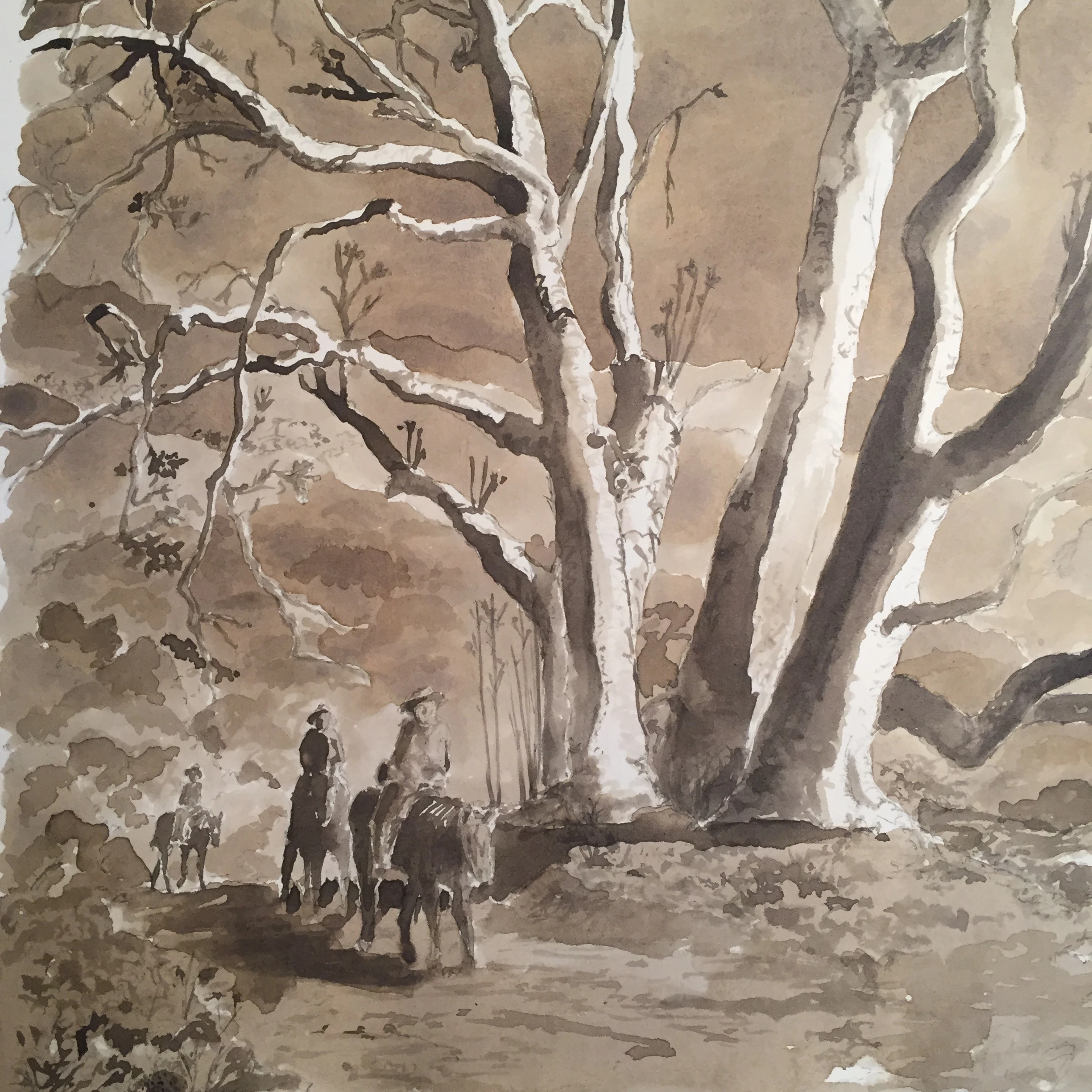 Oak Gall Ink Making & Drawing